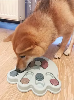 Gamelle Interactive pour Grand Chien â Nourrissez l'esprit, stimulez l'appĂ©tit