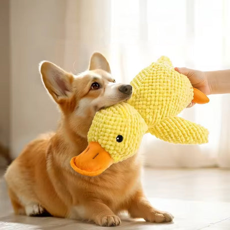 Peluche Canard pour Chien – Douce, amusante et réconfortante