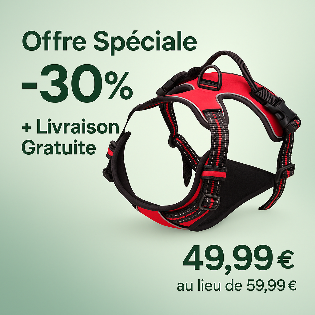🌍 Harnais Anti-Traction N°1 dans le Monde – Confort & Sécurité pour votre Chien