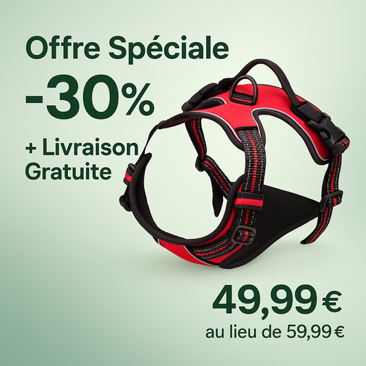 🌍 Harnais Anti-Traction N°1 dans le Monde – Confort & Sécurité pour votre Chien