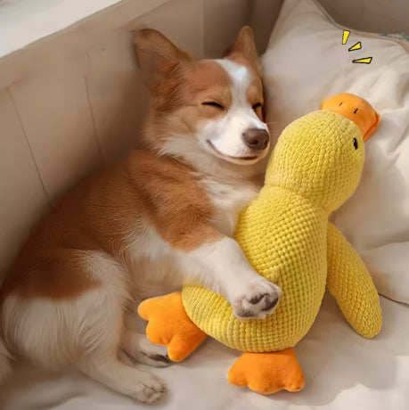 Peluche Canard pour Chien – Douce, amusante et réconfortante