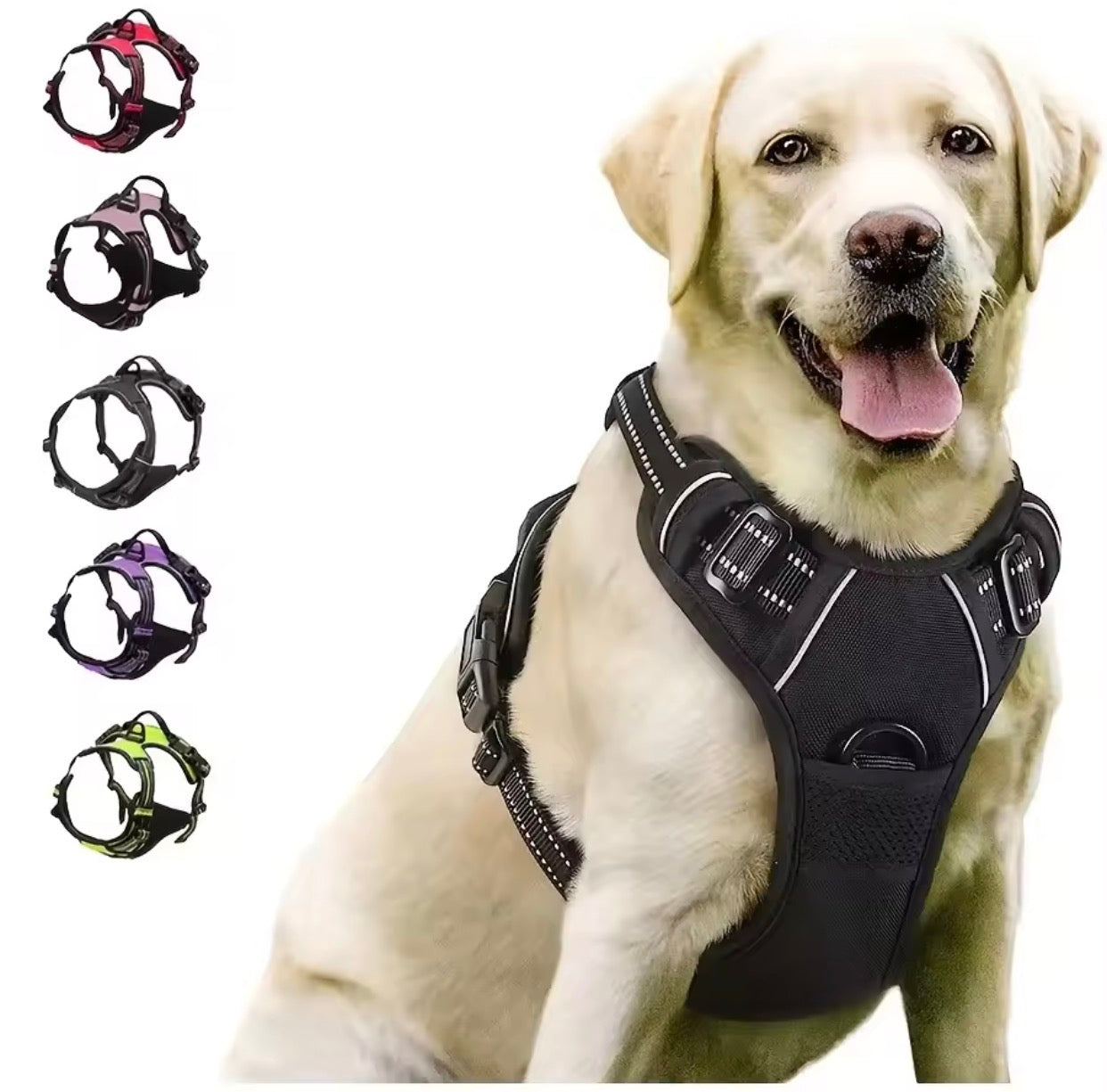 🌍 Harnais Anti-Traction N°1 dans le Monde – Confort & Sécurité pour votre Chien