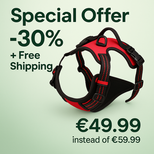 🌍 World's No. 1 No-Pull Harness – Comfort &amp; Safety for Your Dog